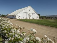 there is a white barn with flowers in the foreground and mountains in the distance