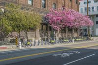 the sidewalk and parking is covered with a lot of trees and flowers in the middle of a city street