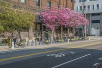 the sidewalk and parking is covered with a lot of trees and flowers in the middle of a city street