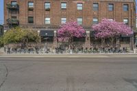 the sidewalk and parking is covered with a lot of trees and flowers in the middle of a city street