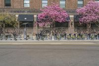 the sidewalk and parking is covered with a lot of trees and flowers in the middle of a city street