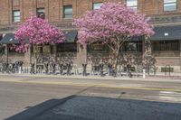 the sidewalk and parking is covered with a lot of trees and flowers in the middle of a city street