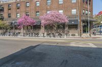 the sidewalk and parking is covered with a lot of trees and flowers in the middle of a city street