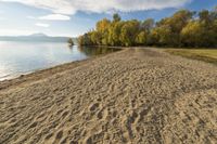 Beautiful Coastal Landscape of British Columbia