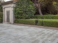 Beautiful Grass Property Landscaping