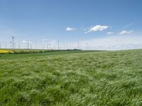 green grassy field with windmills and blue sky in background - image via istb com