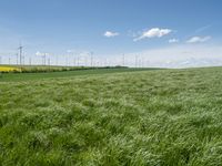 green grassy field with windmills and blue sky in background - image via istb com