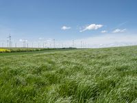 green grassy field with windmills and blue sky in background - image via istb com