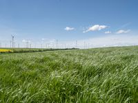 green grassy field with windmills and blue sky in background - image via istb com