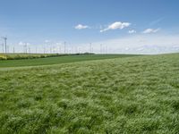 green grassy field with windmills and blue sky in background - image via istb com