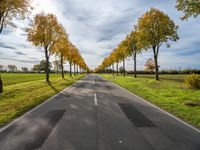 a long asphalt road with lots of trees along it in the middle of a green park