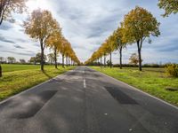 a long asphalt road with lots of trees along it in the middle of a green park