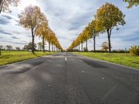 a long asphalt road with lots of trees along it in the middle of a green park