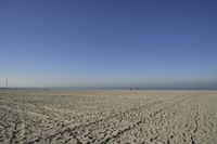 people walk on sand at a beach, near the ocean in the distance is a sky with few cloudless, and blue skies