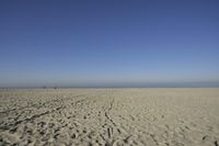 people walk on sand at a beach, near the ocean in the distance is a sky with few cloudless, and blue skies