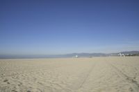 people walk on sand at a beach, near the ocean in the distance is a sky with few cloudless, and blue skies