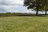 Beautiful Ontario Landscape with Green Grass and Trees