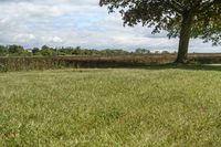 Beautiful Ontario Landscape with Green Grass and Trees