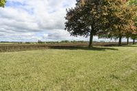 Beautiful Ontario Landscape with Green Grass and Trees