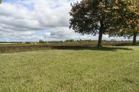 Beautiful Ontario Landscape with Green Grass and Trees