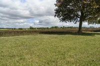 Beautiful Ontario Landscape with Green Grass and Trees