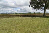 Beautiful Ontario Landscape with Green Grass and Trees