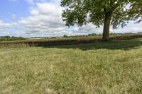 Beautiful Ontario Landscape with Green Grass and Trees