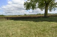 Beautiful Ontario Landscape with Green Grass and Trees