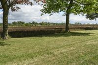 Beautiful Ontario Landscape with Green Grass and Trees