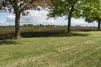 Beautiful Ontario Landscape with Green Grass and Trees