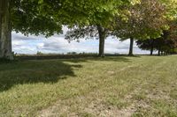 A Beautiful Park in Toronto, Canada: Enjoying a Sunny Day