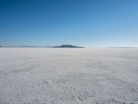 the snow - covered landscape looks beautiful and barren in its natural habitat, with no clouds