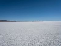 the snow - covered landscape looks beautiful and barren in its natural habitat, with no clouds