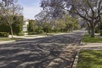 a street is lined with purple flowers growing between the trees and bushes at both ends of the driveway