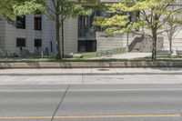 Beautiful Tree-lined Streets in Toronto, Canada