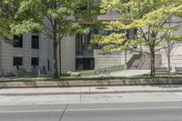 Beautiful Tree-Lined Streets in Toronto, Canada