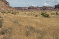 horse with saddle in the background on a plain next to a canyon and grassy plains