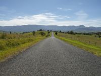 Bega Valley Australia: Straight Road Landscape