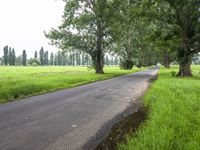 a paved path with trees next to it and grass in the foreground, and puddles in the road below