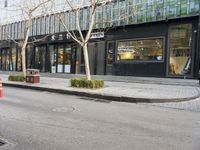 empty sidewalk with no cars on it, in front of the building with many windows