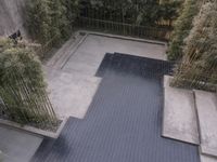 an empty pool in a patio with bamboos growing behind it and a brick wall