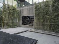 Beijing Urban Design: Concrete Structures and Modernity