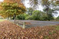 the sidewalk is full of leaves next to the road, and there is a bench on the side of the street