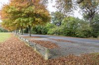 the sidewalk is full of leaves next to the road, and there is a bench on the side of the street