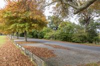 the sidewalk is full of leaves next to the road, and there is a bench on the side of the street