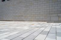 a small brick patio and a wall with an open door in the background, on which the floor is mostly empty