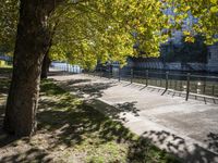 a bridge spans over the river next to a row of buildings and some trees on the sidewalk