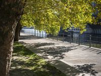 a bridge spans over the river next to a row of buildings and some trees on the sidewalk