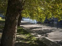 a bridge spans over the river next to a row of buildings and some trees on the sidewalk