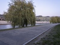 an asphalt pathway beside some trees by the river with buildings behind it in the distance